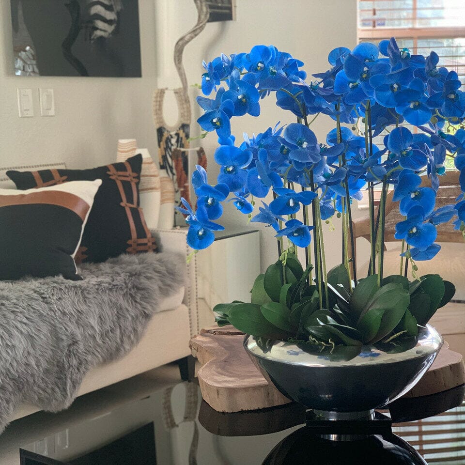 Cuenco Avenue con orquídeas Phalaenopsis azules