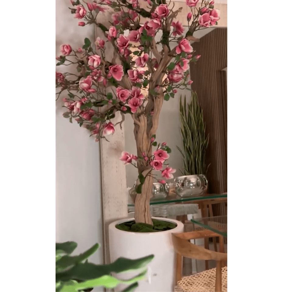 Árbol de magnolia rosa en maceta St. Tropez en blanco radiante – Nuevo lanzamiento
