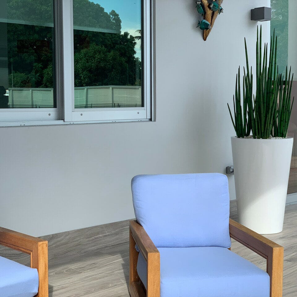 Hierba serpiente (1,63 m) con maceta Belle L