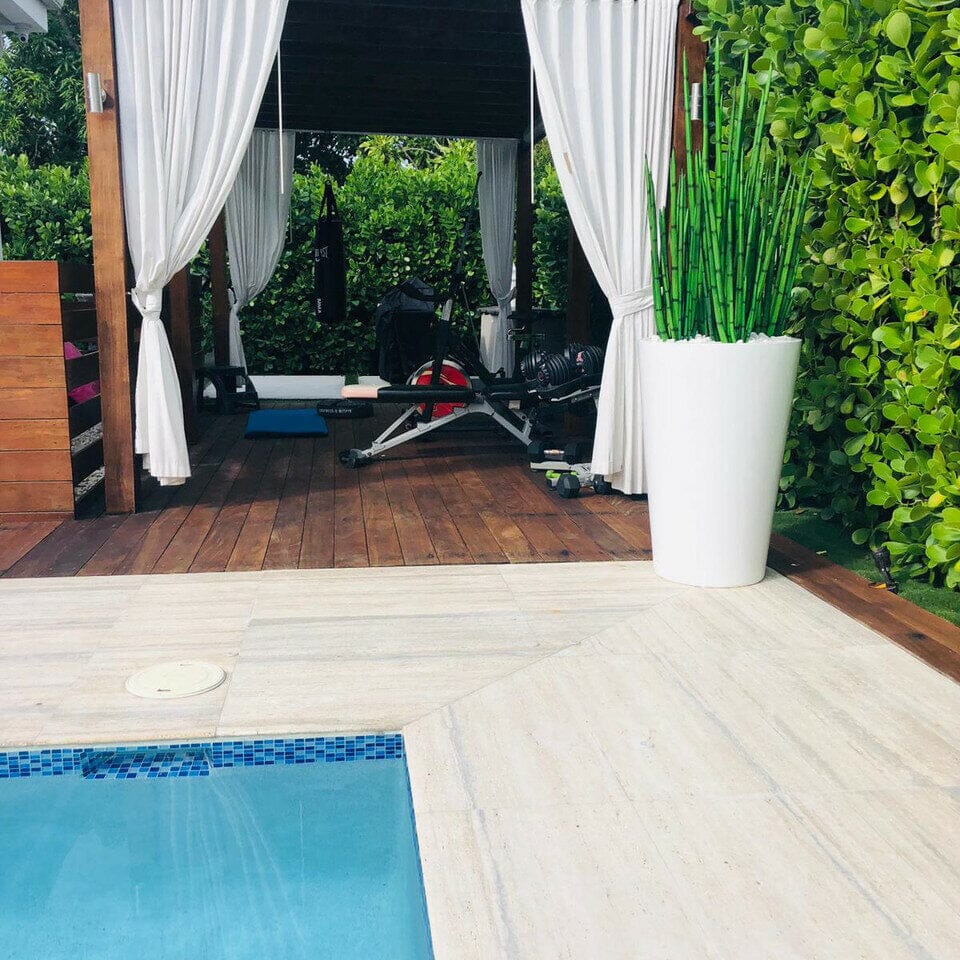 Hierba serpiente (1,63 m) con maceta Belle L