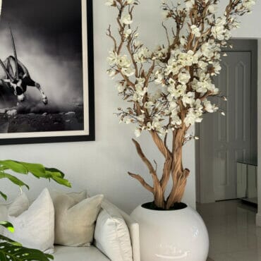Árbol de magnolia blanca en maceta esférica blanca brillante, 76 cm