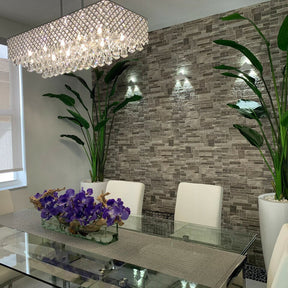 Planta Ave del Paraíso de 2,1 m con Maceta Dax L