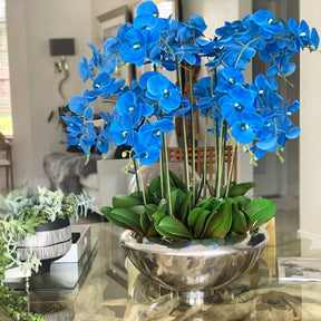 Cuenco Avenue con orquídeas Phalaenopsis azules