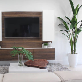 Planta Ave del Paraíso (2,7 m) con Maceta Ben en Blanco Brillante