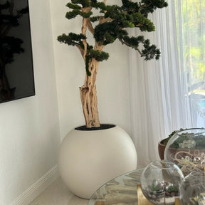 Bonsai Trail en esfera beige satinado de 30"