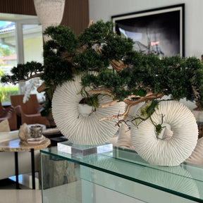 Gran jarrón Eternity con bonsái colgante y madera flotante