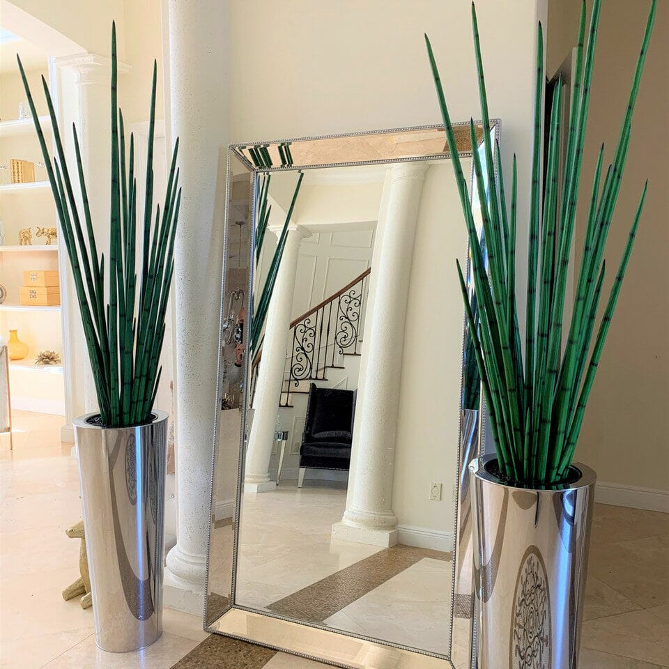 Maceta grande de acero inoxidable pulido con planta de hierba de serpiente grande