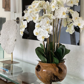Cuenco grande de madera de teca con orquídeas blancas