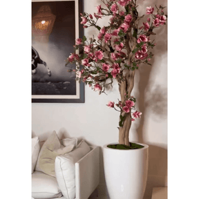 Árbol de magnolia rosa en maceta St. Tropez en blanco radiante – Nuevo lanzamiento