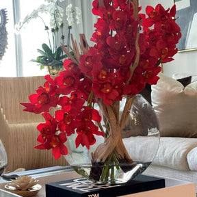 Orquídeas Cymbidium rojas en maceta Moon