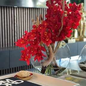 Orquídeas Cymbidium rojas en maceta Moon