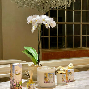 Difusor de varillas Rendezvous Parisian