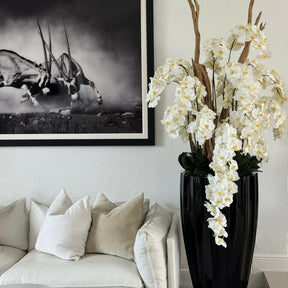 Jarrón San José en negro brillante con orquídeas amarillas colgantes