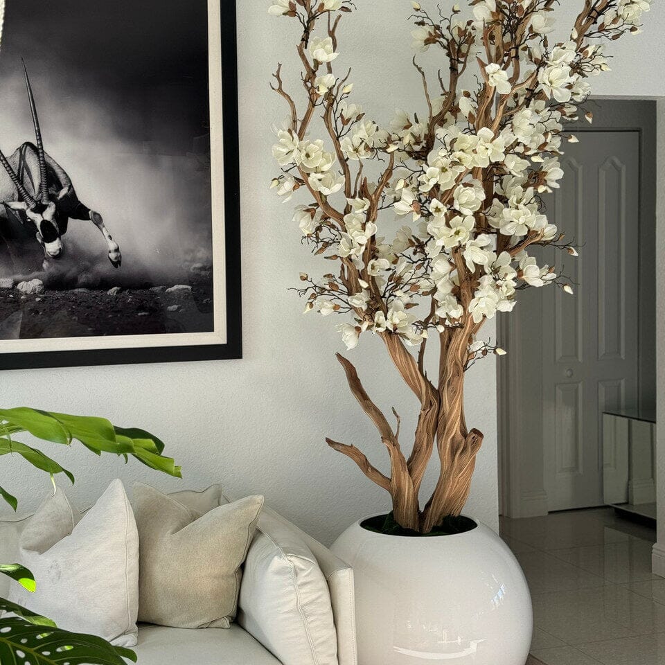 Árbol de magnolia blanca en maceta globo blanca brillante, 76 cm