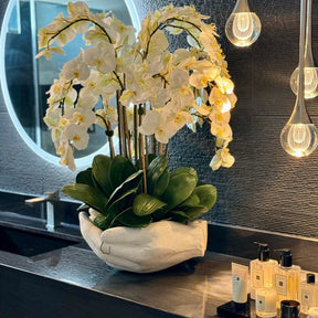 Orquídeas Phalaenopsis blancas en maceta escultórica de Manos Abiertas
